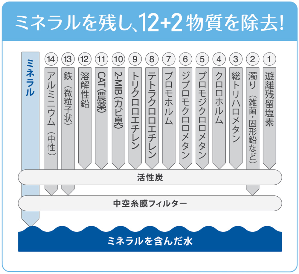 正規 品 安い 【正規販売店】ラピュール 交換カートリッジ浄水器 浄水カートリッジ 放射能汚染物質除去 浄水器ラピュール ION-250ION-  キッチン家電用アクセサリー・部品